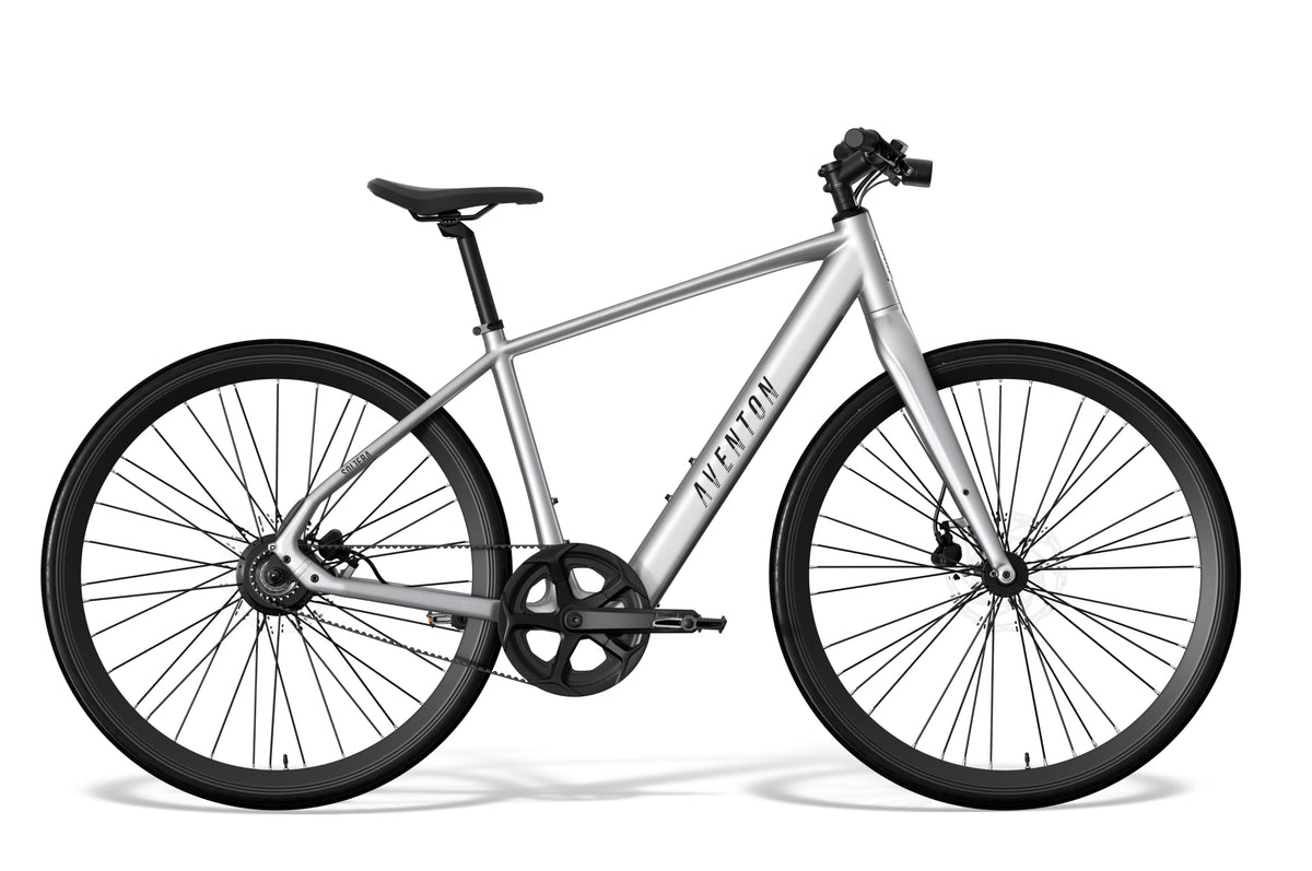 Soltera 3 ADV Ebike - Small / Sterling