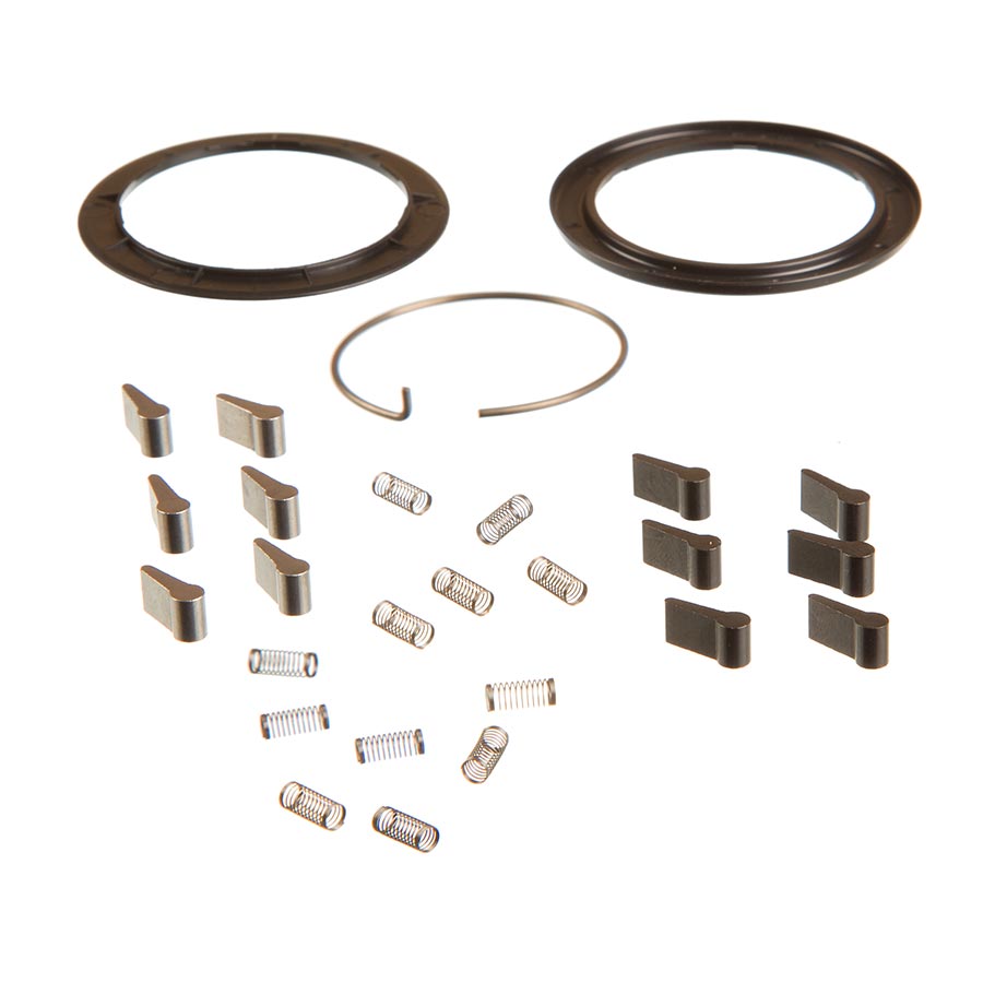 Zipp Spring and Pawl Set ZM2