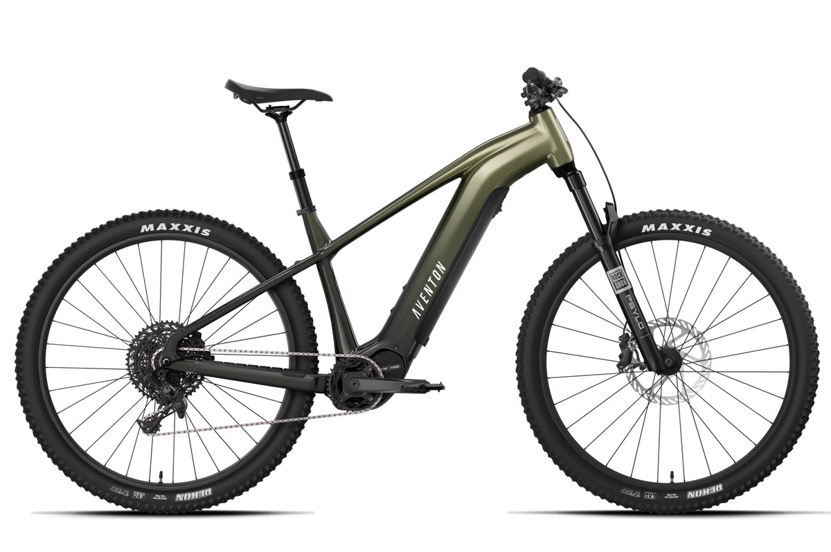 Ramblas ADV Ebike - Medium / Borealis
