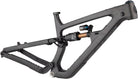 Salsa Cassidy Carbon Frame - Carbon Raw Small