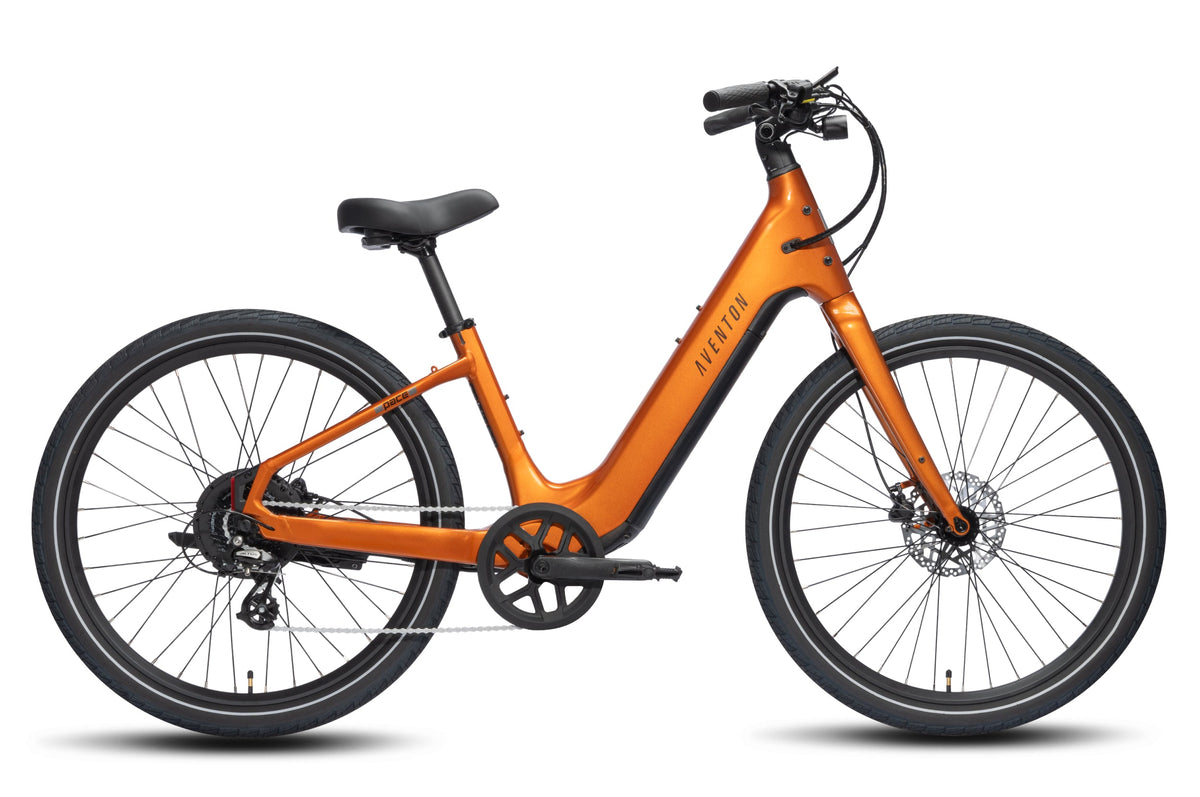 Pace 5 REC Step-Through Ebike - Regular / Koi